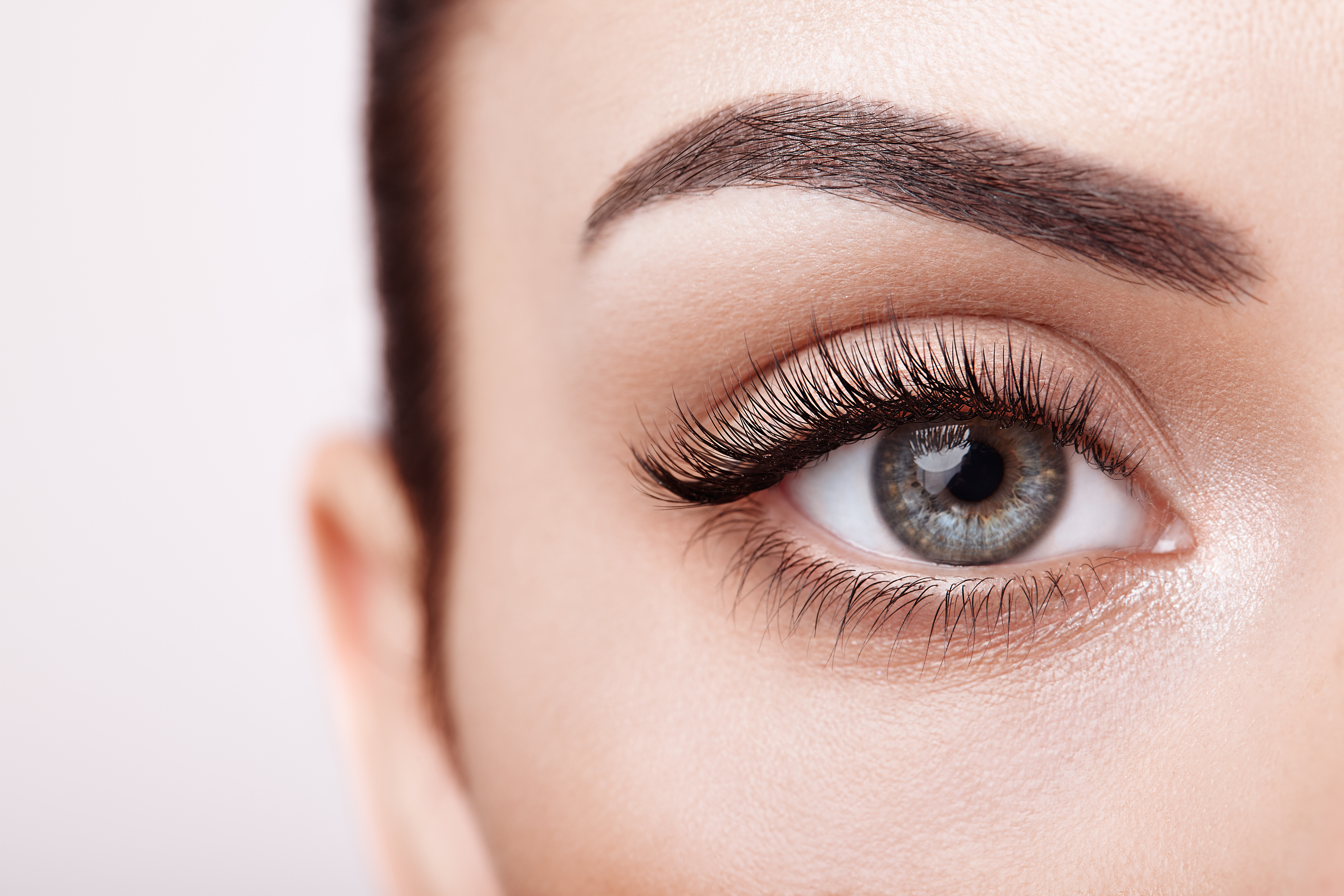 Eye and Brow Treatments